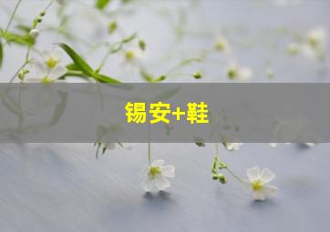 锡安 鞋